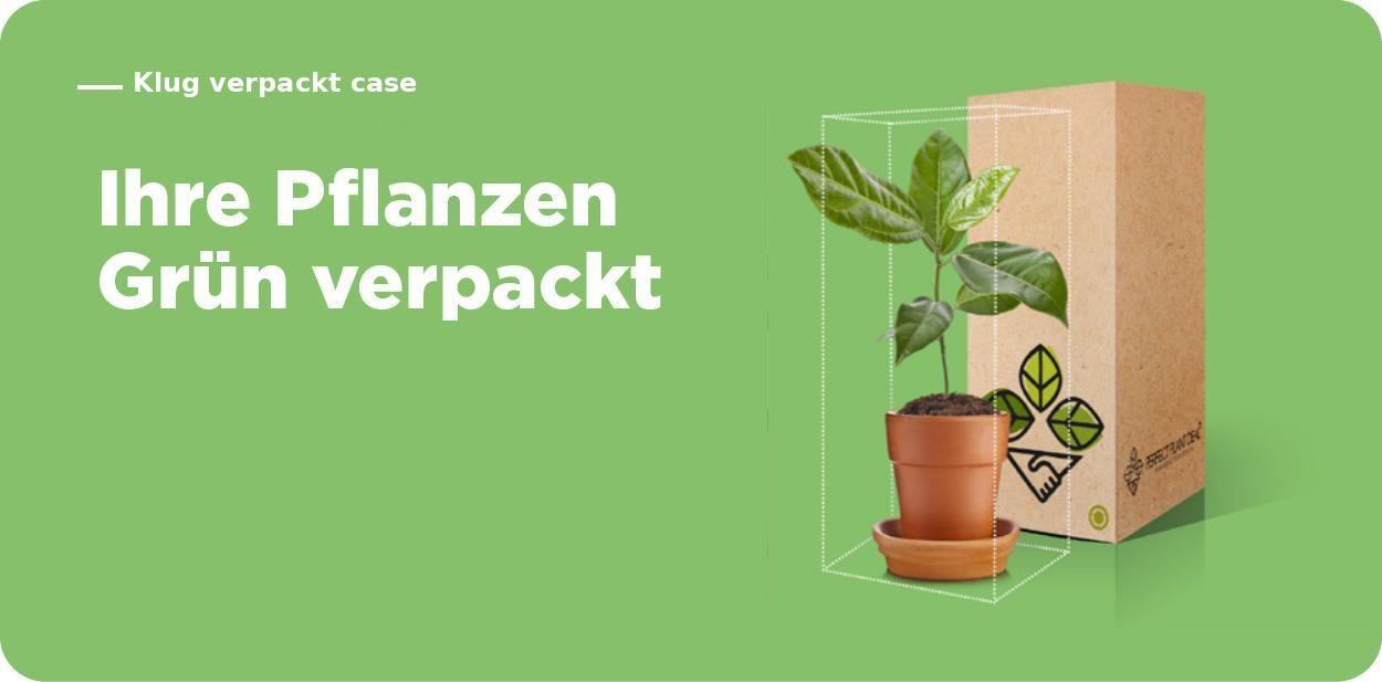 Klug verpackt case ihre pflanzen grun verpackt | Kartonsaufmass.de